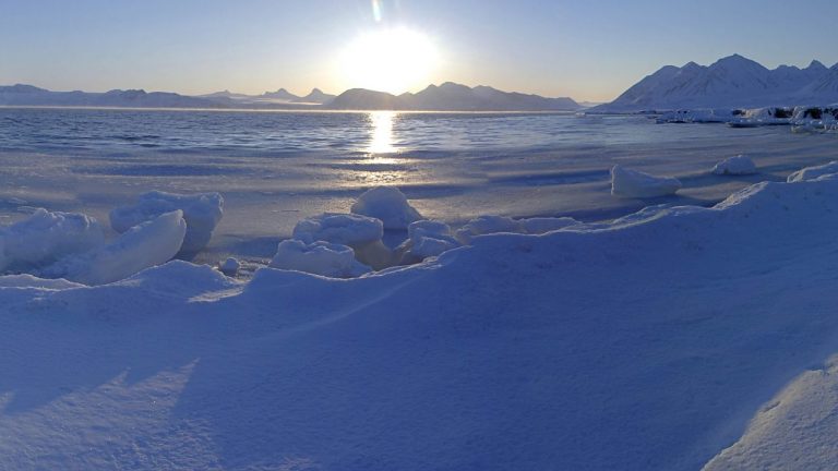 Can AI predict Arctic ice loss?
