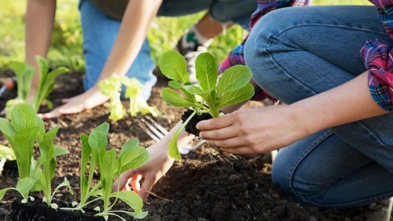 wellbeing during the Covid pandemic