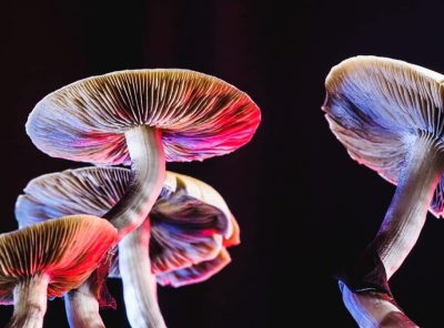 Magic mushrooms, can they treat depression?