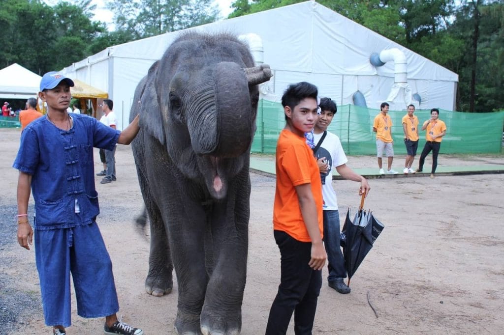 Laguna Phuket Ironman 2012