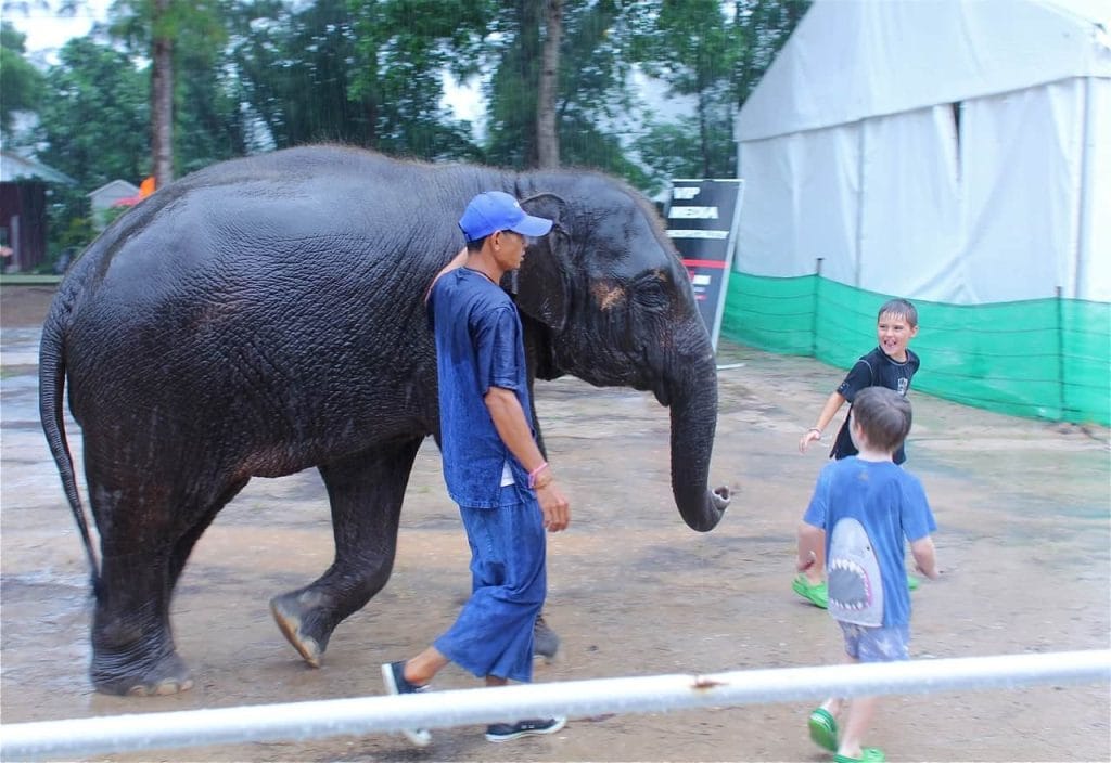 Laguna Phuket Ironman 2012